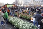 Amsterdam 21 januari 2017 
Boer Tom Groot bij event met tulpen bij paleis op de dam.