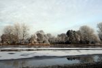 Nigtevecht 18 januari 2017
Winter in Nederland en met name in Nigtevecht.