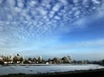 Nigtevecht 18 januari 2017
Winter in Nederland en met name in Nigtevecht.