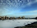 Nigtevecht 18 januari 2017
Winter in Nederland en met name in Nigtevecht.