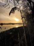 Nigtevecht 18 januari 2017
Winter in Nederland en met name in Nigtevecht.