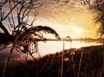Nigtevecht 18 januari 2017
Winter in Nederland en met name in Nigtevecht.