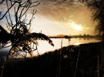 Nigtevecht 18 januari 2017
Winter in Nederland en met name in Nigtevecht.