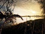 Nigtevecht 18 januari 2017
Winter in Nederland en met name in Nigtevecht.