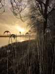Nigtevecht 18 januari 2017
Winter in Nederland en met name in Nigtevecht.