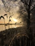 Nigtevecht 18 januari 2017
Winter in Nederland en met name in Nigtevecht.