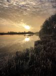 Nigtevecht 18 januari 2017
Winter in Nederland en met name in Nigtevecht.