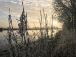 Nigtevecht 18 januari 2017
Winter in Nederland en met name in Nigtevecht.