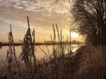 Nigtevecht 18 januari 2017
Winter in Nederland en met name in Nigtevecht.