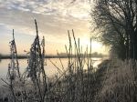 Nigtevecht 18 januari 2017
Winter in Nederland en met name in Nigtevecht.