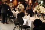 Hoofddorp 17 januari 2017
Patricia Paay is opnieuw getrouwd met Robbert Hinfelaar. Dat gebeurde in Claus party Center in Hoofddorp