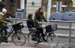 Amsterdam 29 januari 2017
Mark v d Loo en zijn vrouw Robine v d Meer gaan met hun zoon en dochter naar de film