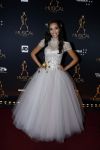 Utrecht 12 januari 2017
Uitreiking musical awards in het beatrixtheater.
Romy Monteiro