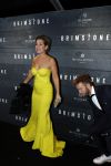 Amsterdam 9 januari 2016
Premiere Brimstone in Tuschinski met oa Emilia Jones en Dakota Fanning gemaakt door regisseur Martin Koolhoven .
Tanja Jess en Charly Luske