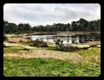Vlieland 2017