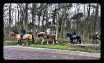 Vlieland 2017