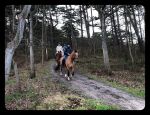Vlieland 2017