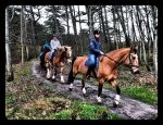 Vlieland 2017