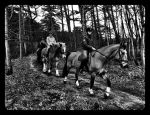 Vlieland 2017