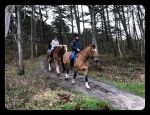 Vlieland 2017