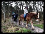 Vlieland 2017
