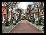Vlieland 2017