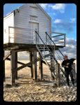 Vlieland 2017