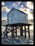 Vlieland 2017