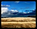 Vlieland 2017