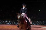 Amsterdam 25 januari 2019
Britt Dekker geeft demonstratie met haar paard op Jumping Amsterdam.