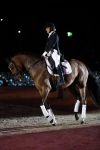 Amsterdam 25 januari 2019
Britt Dekker geeft demonstratie met haar paard op Jumping Amsterdam.