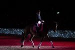 Amsterdam 25 januari 2019
Britt Dekker geeft demonstratie met haar paard op Jumping Amsterdam.