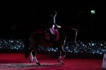 Amsterdam 25 januari 2019
Britt Dekker geeft demonstratie met haar paard op Jumping Amsterdam.