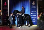 Amsterdam 25 januari 2019
Gerard Joling en Britt Dekker met paard op Jumping Amsterdam.
