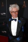 Amsterdam 23 januari 2019
Rode loper musical awards in de RAI. Jacques d Ancona