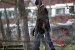 Maarssen 6 januari 2019
Martine Bijl en Berend Boudewijn gaan wandelen in een parkje in Maarssen.