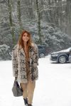 Baarn 22 januari 2019
Olcay Gulsen in de sneeuw
