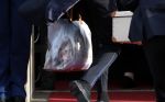 Amsterdam 15 januari 2019
Niieuwjaarsreceptie Koning Willem Alexander en koningin Maxima in paleis op de dam. Prinses Beatrix