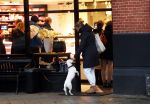 Amsterdam 12 januari 2019
Saskia Noort gaat met haar hondje naar slagerij v Dam.