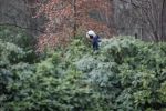 Maarssen 4 februari 2021
Berend Boudewijn werkt in zijn tuin.