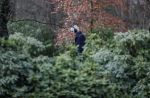 Maarssen 4 februari 2021
Berend Boudewijn werkt in zijn tuin.