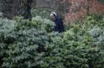 Maarssen 4 februari 2021
Berend Boudewijn werkt in zijn tuin.