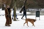 Amsterdam 9 februari 2021
Claudia Schoemacher met hond in het vondelpark. Het vondelpark is wit van de sneeuw.