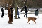 Amsterdam 9 februari 2021
Claudia Schoemacher met hond in het vondelpark. Het vondelpark is wit van de sneeuw.