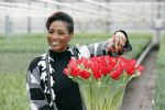 Spierdijk 19 januari 2021
Edsilia Rombley doopt haar eigen tulp de Edsilia