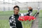 Spierdijk 19 januari 2021
Edsilia Rombley doopt haar eigen tulp de Edsilia
