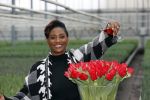Spierdijk 19 januari 2021
Edsilia Rombley doopt haar eigen tulp de Edsilia