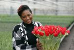 Spierdijk 19 januari 2021
Edsilia Rombley doopt haar eigen tulp de Edsilia