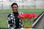 Spierdijk 19 januari 2021
Edsilia Rombley doopt haar eigen tulp de Edsilia