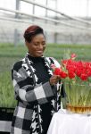 Spierdijk 19 januari 2021
Edsilia Rombley doopt haar eigen tulp de Edsilia